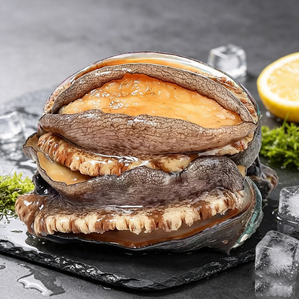 Premium Whole Abalone